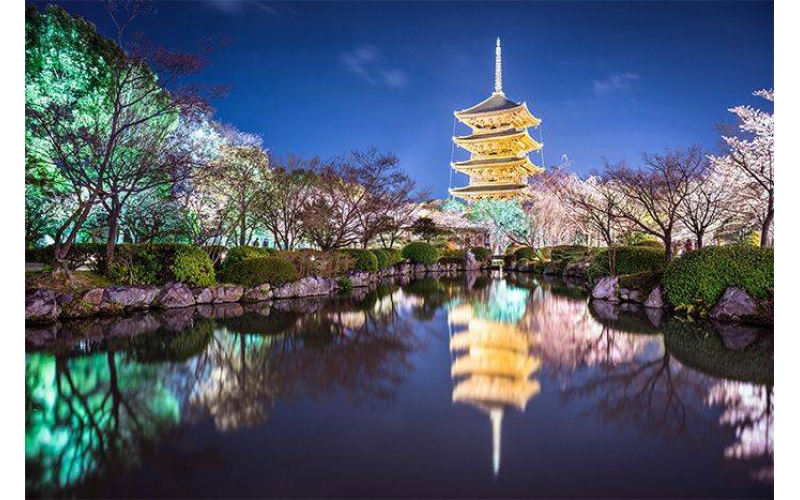 如何打造出讓市民滿意的公園亮化工程？